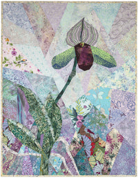 Paphiopedilum