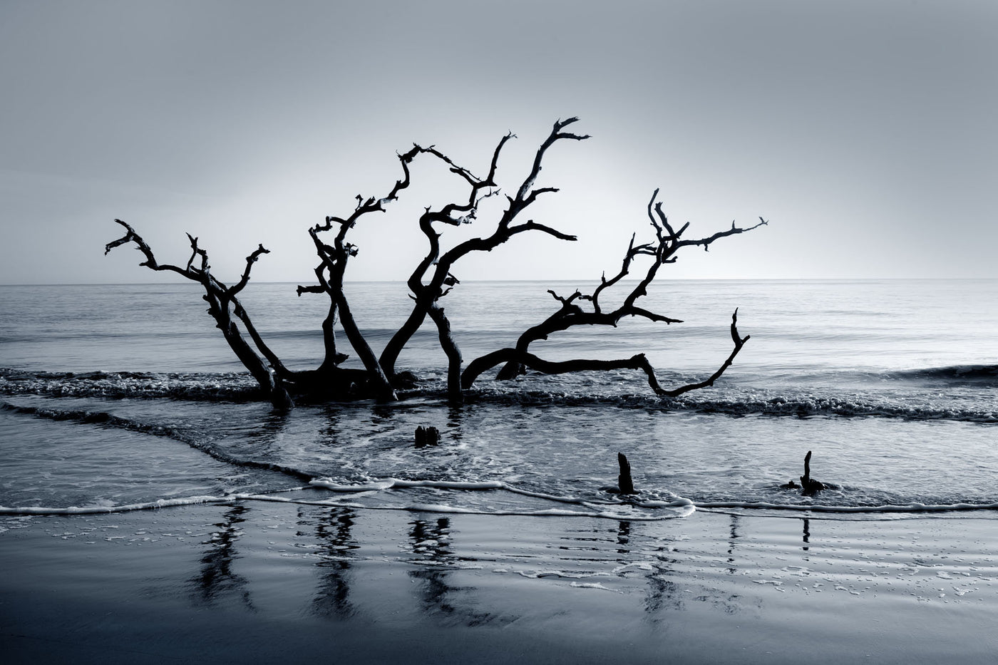 Boneyard Dawn