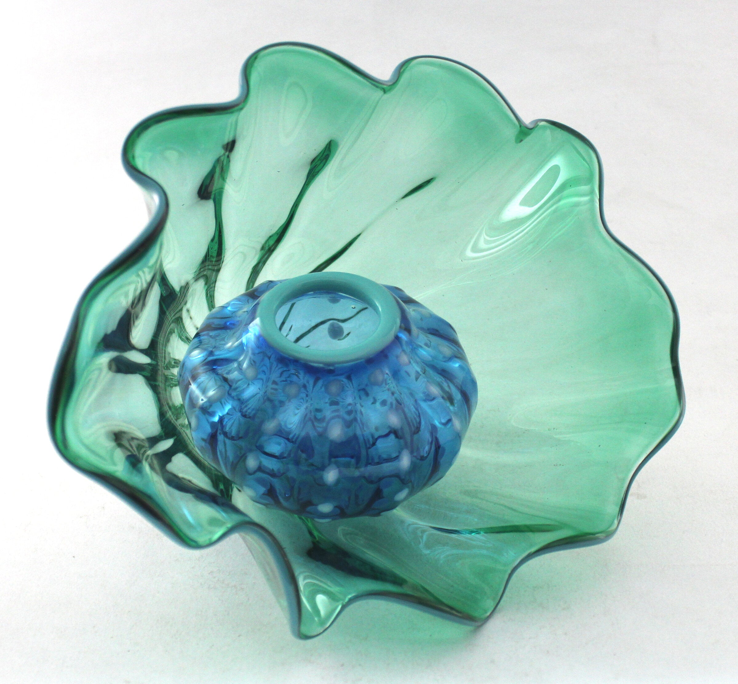 Sea Green Ocean Fan with Aqua Urchin 2