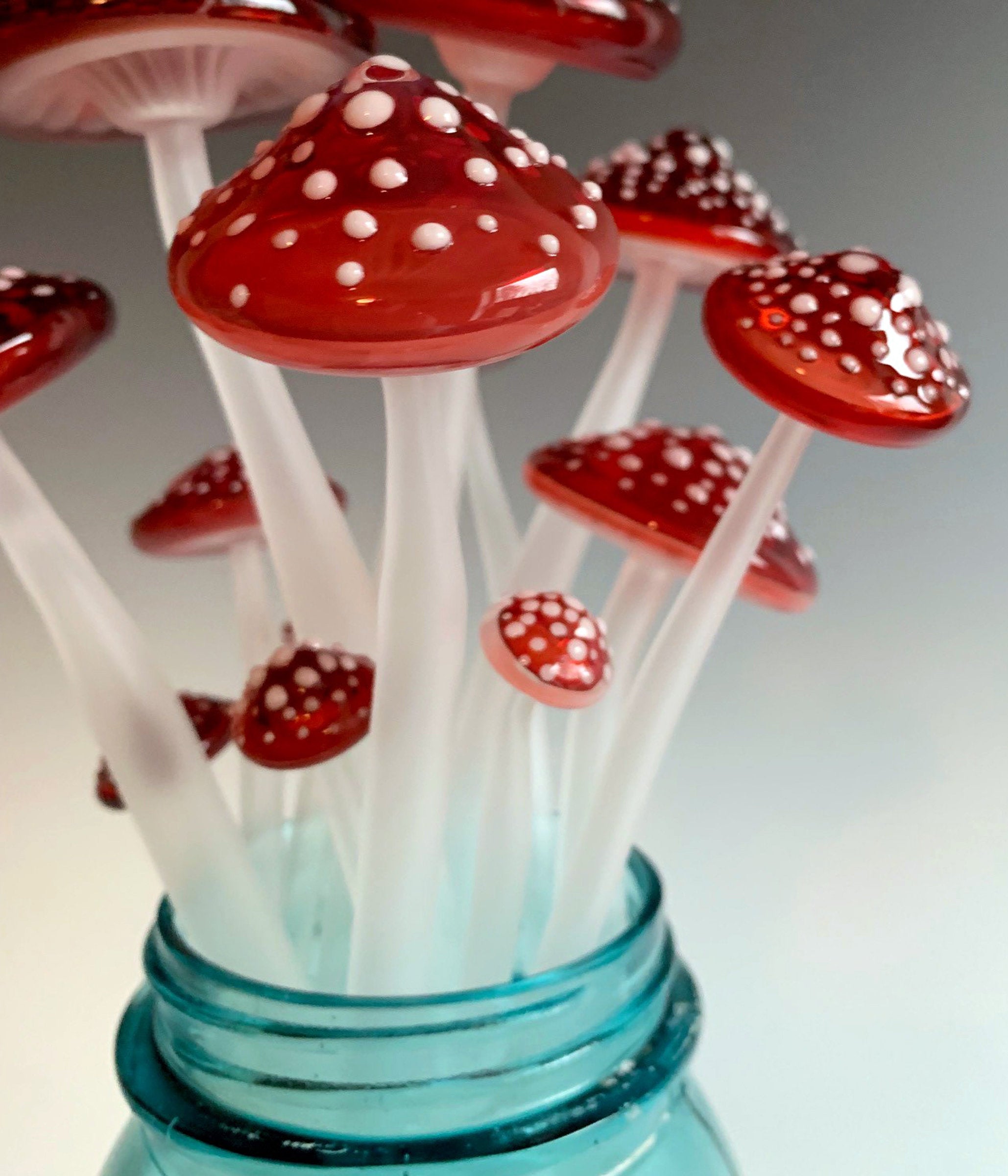 Dozen Longstems in Red