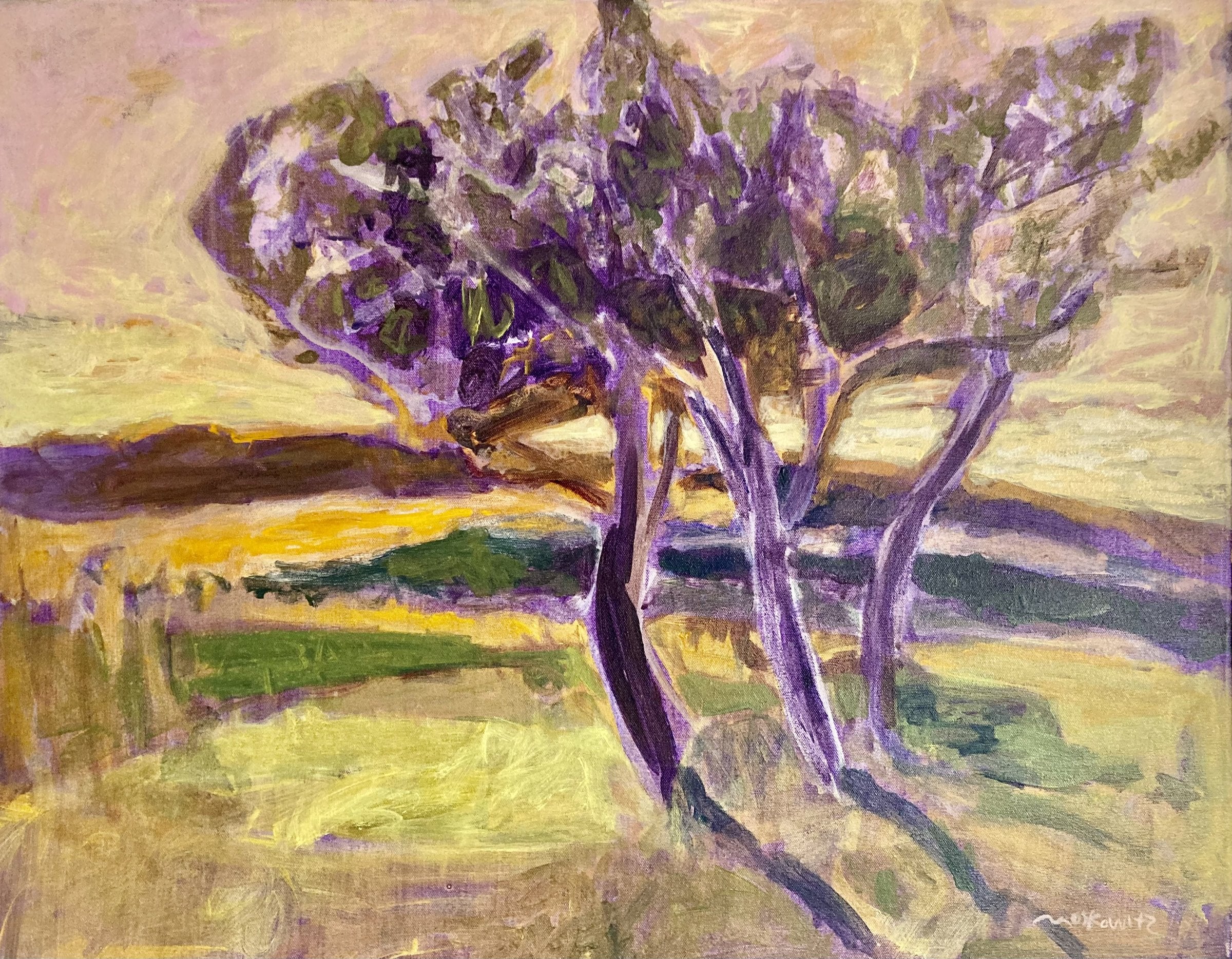 Hilltop Sunset