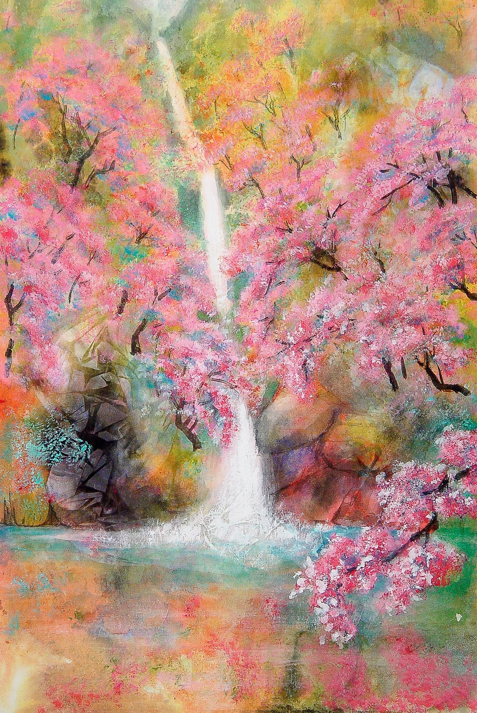 Cherry Blossoms