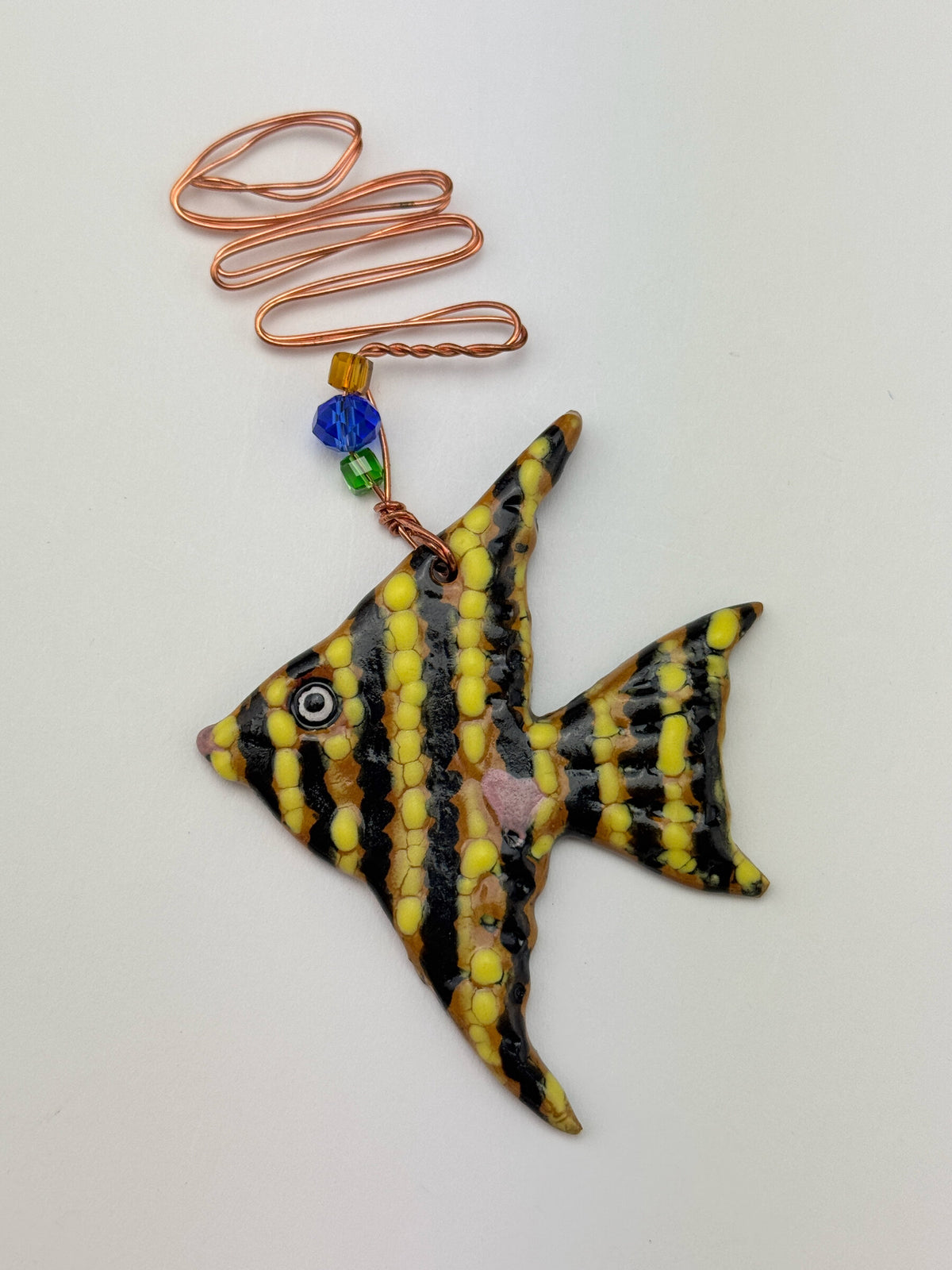 Daddy Angel Fish