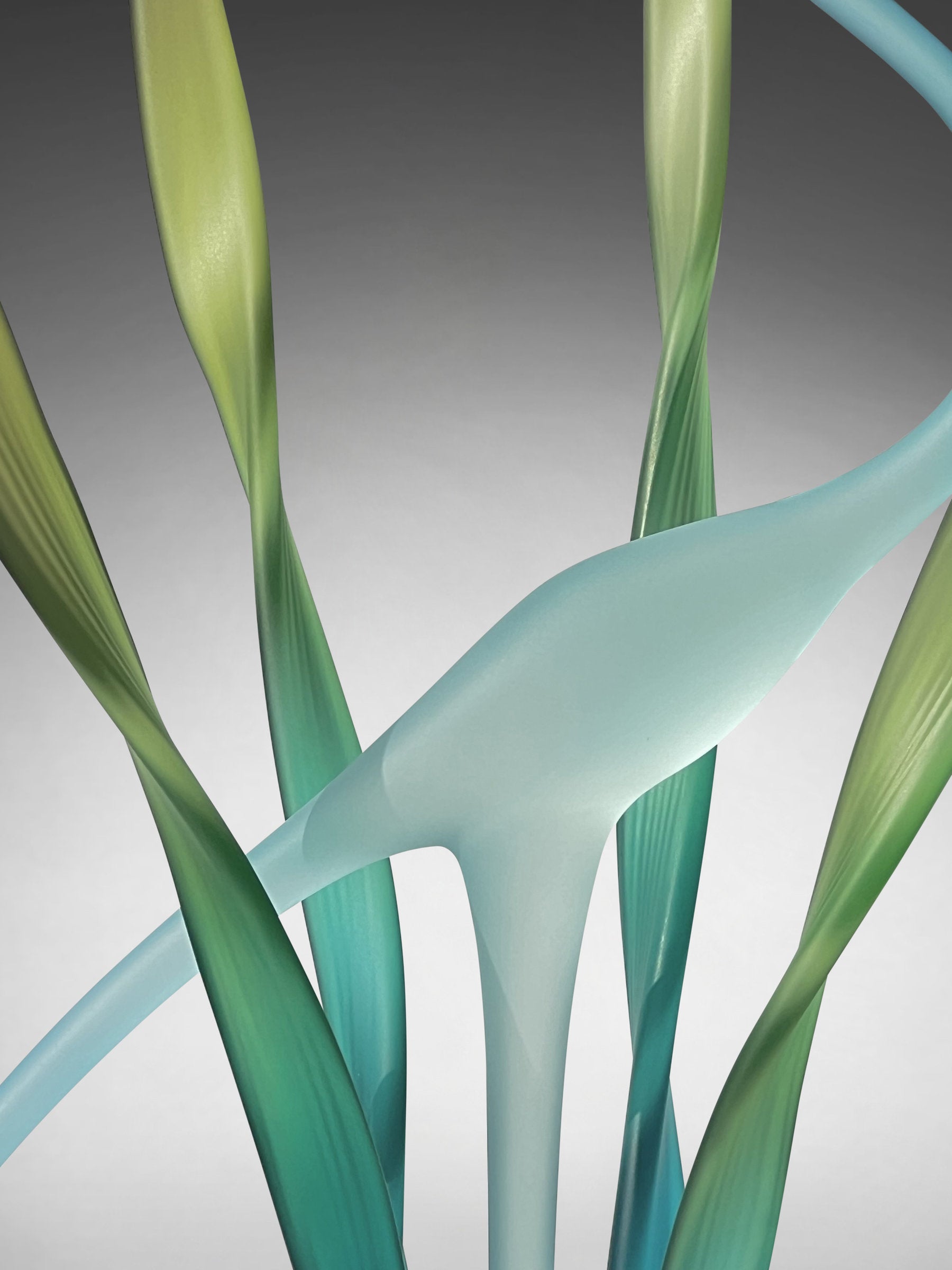 Serene Dance in the Marsh, Turquoise