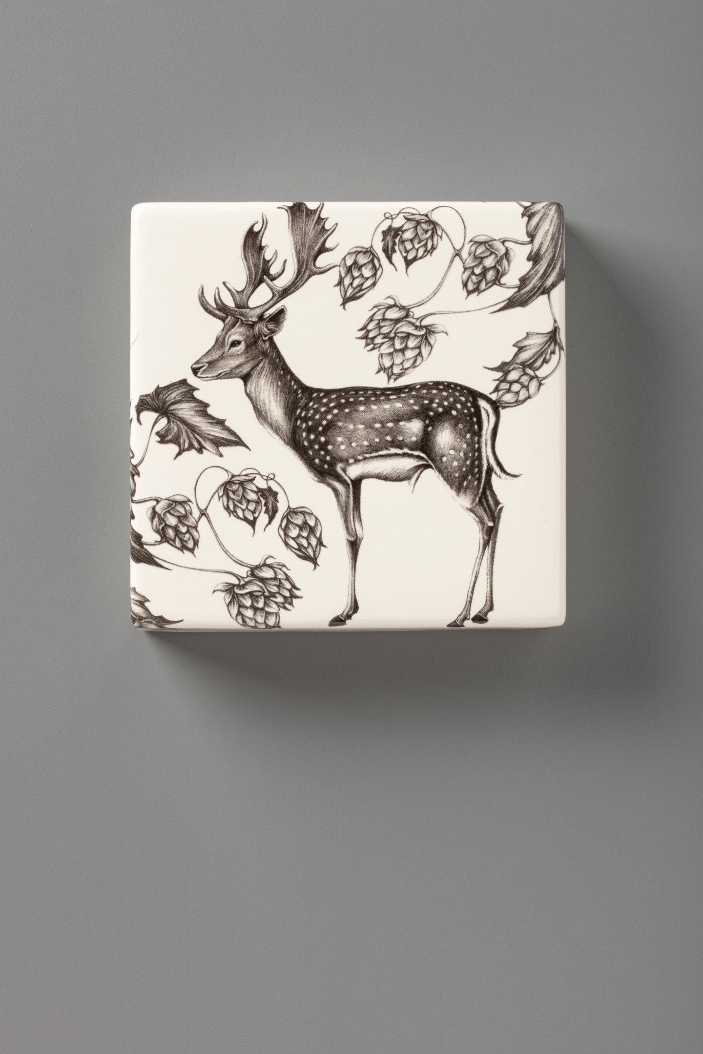 Wall Box: Fallow Buck