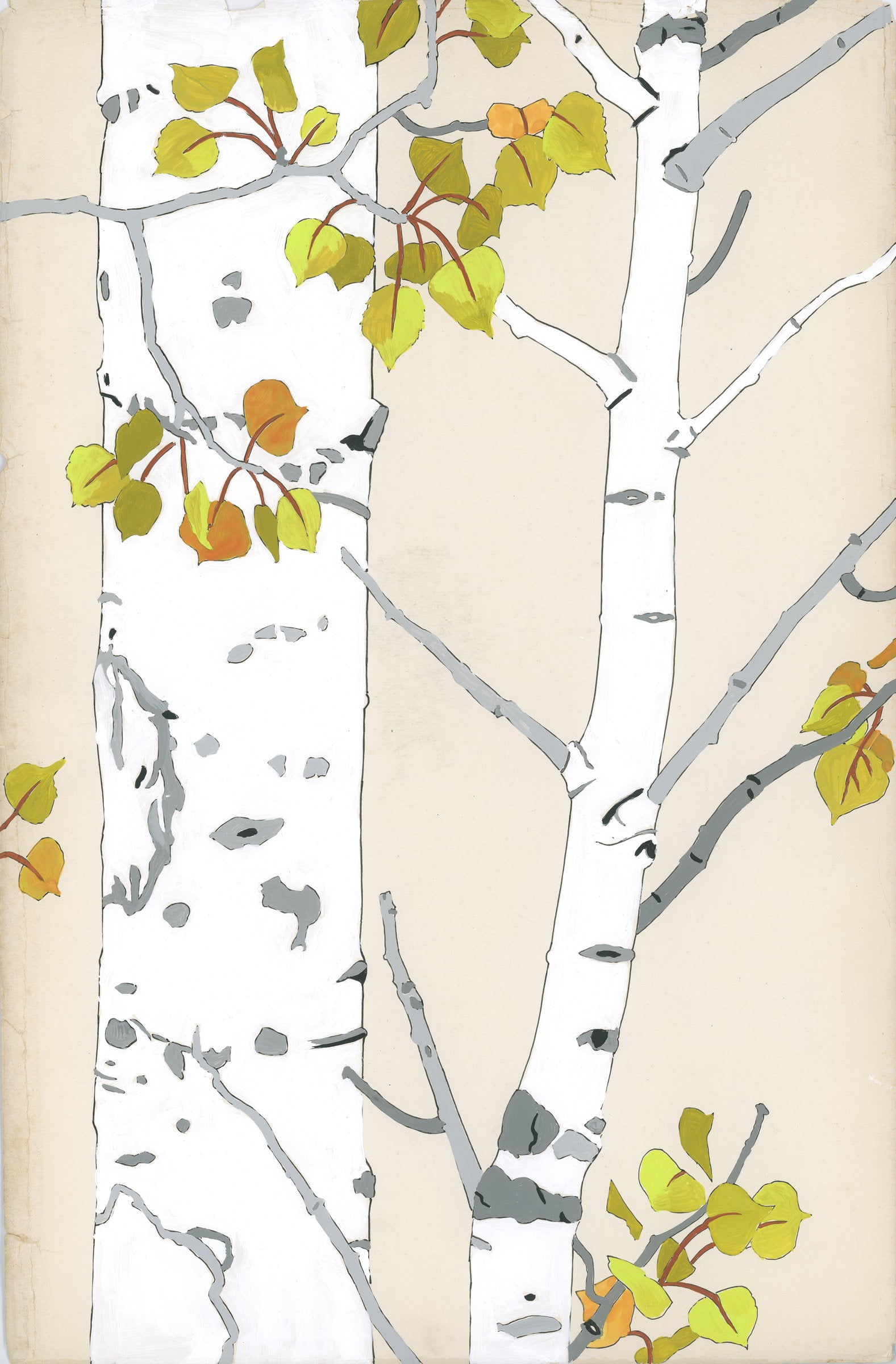 Aspen Summer/Fall