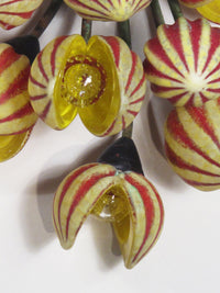 Red/Yellow Wall Seed Pod