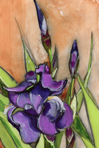 Purple Iris