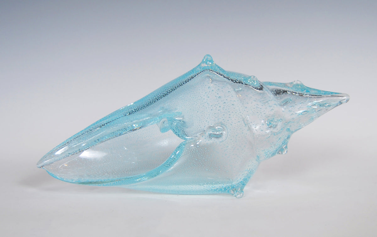 Nautical Shell