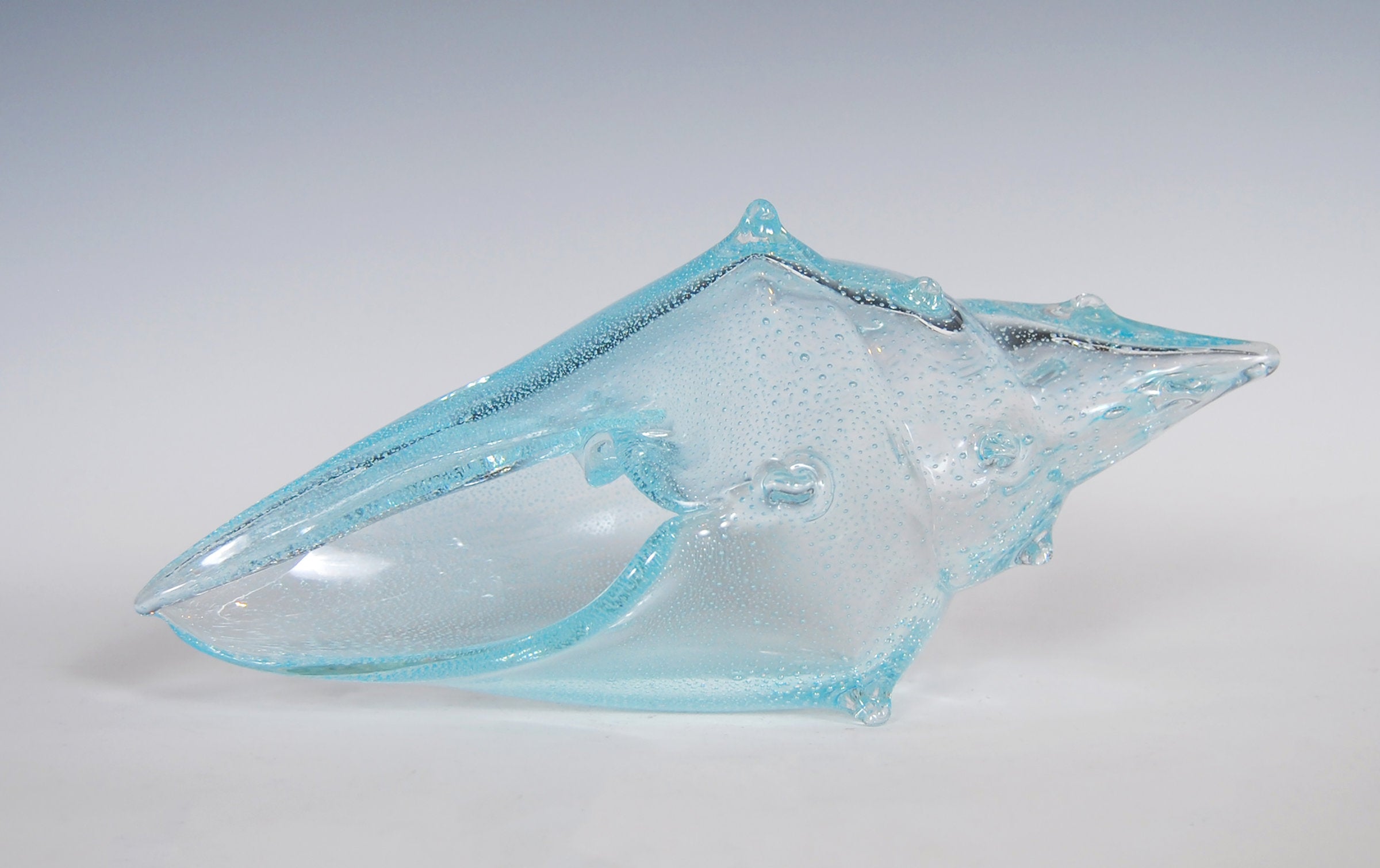 Nautical Shell