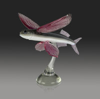 Glider Flying Fish