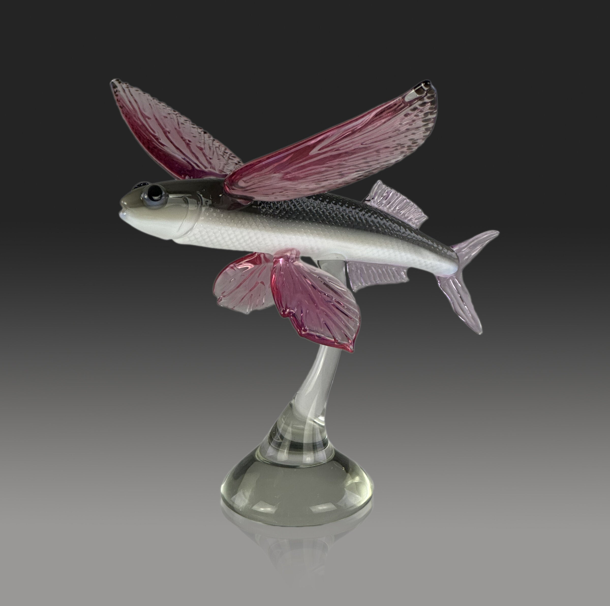 Glider Flying Fish