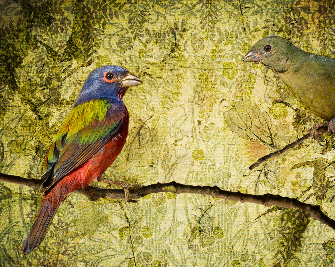 Vintage Painted Buntings