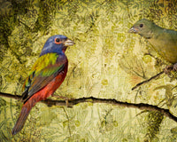 Vintage Painted Buntings