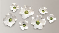 Dogwood Blossoms
