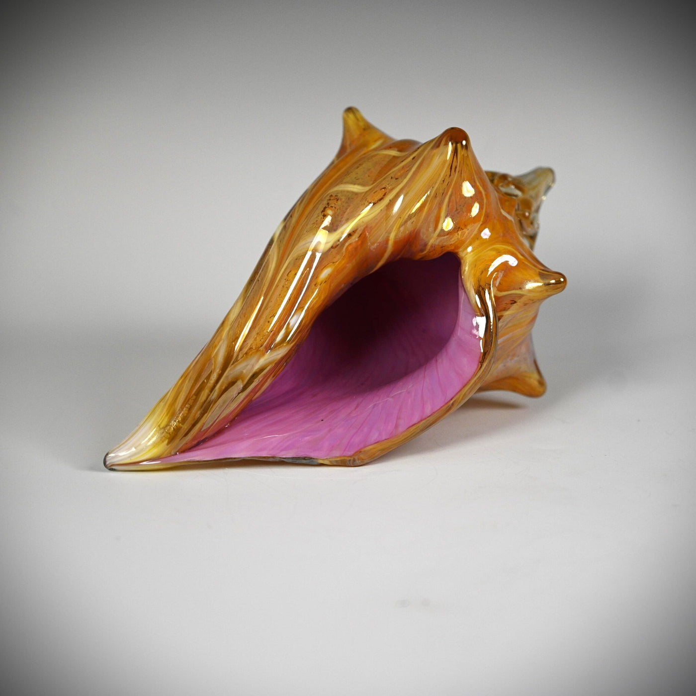 Golden Sunset Shell
