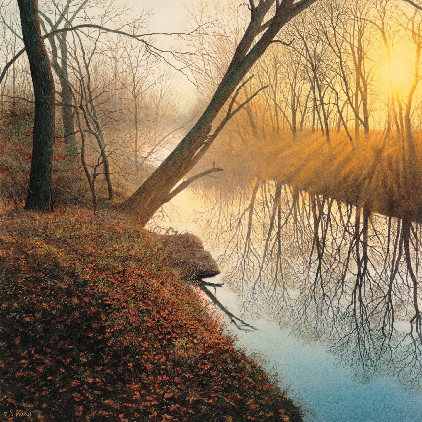 Morning Solitude