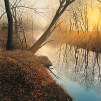 Morning Solitude