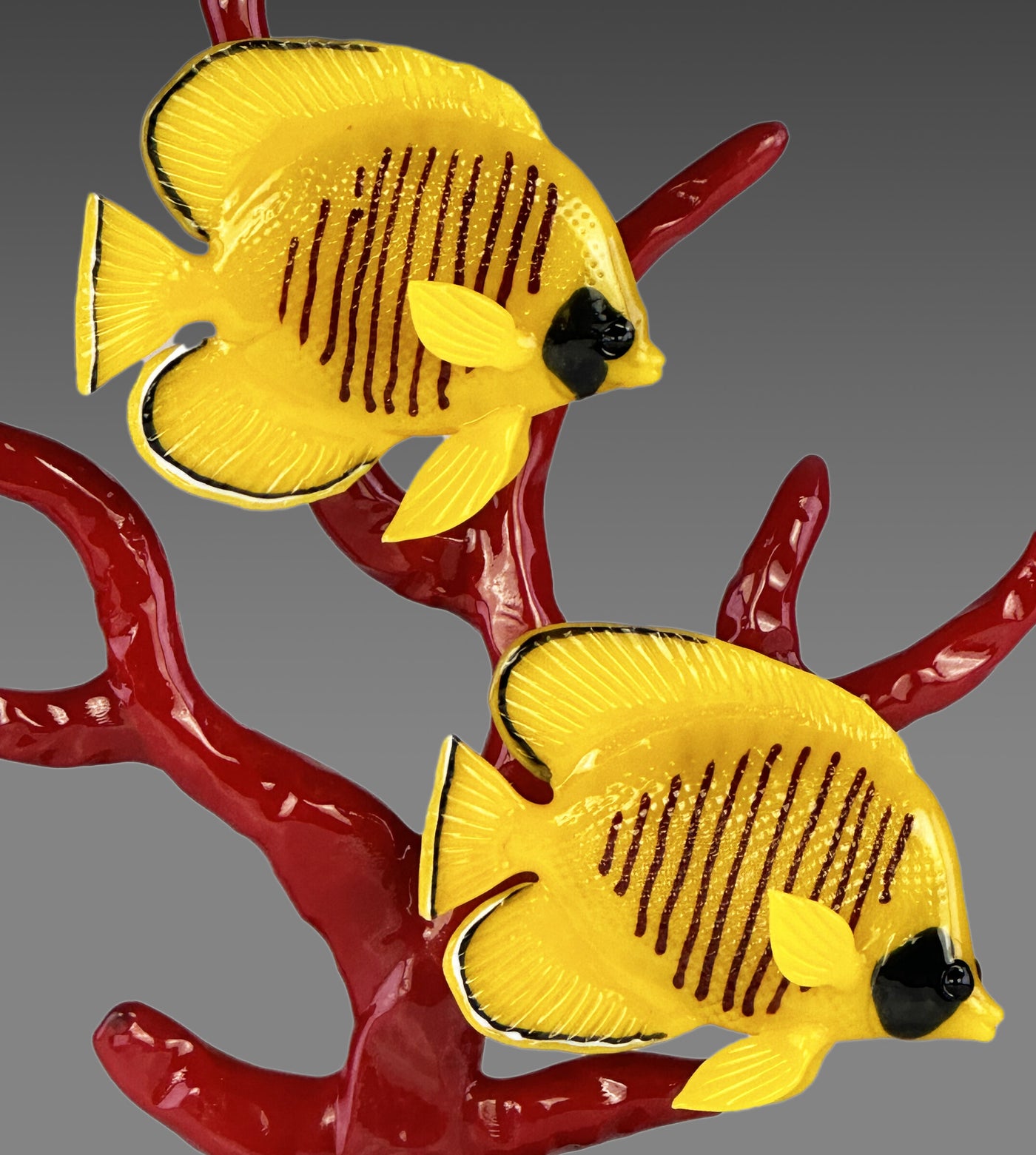 Gold Butterflyfish on Red Branch Coral