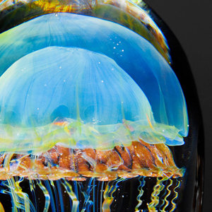 Moon Jellyfish Small
