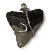 Megalodon Convertible Rubber Necklace IV