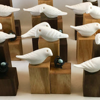 Nesting Birds