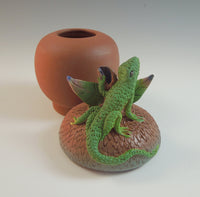 Lizard on Acorn Box
