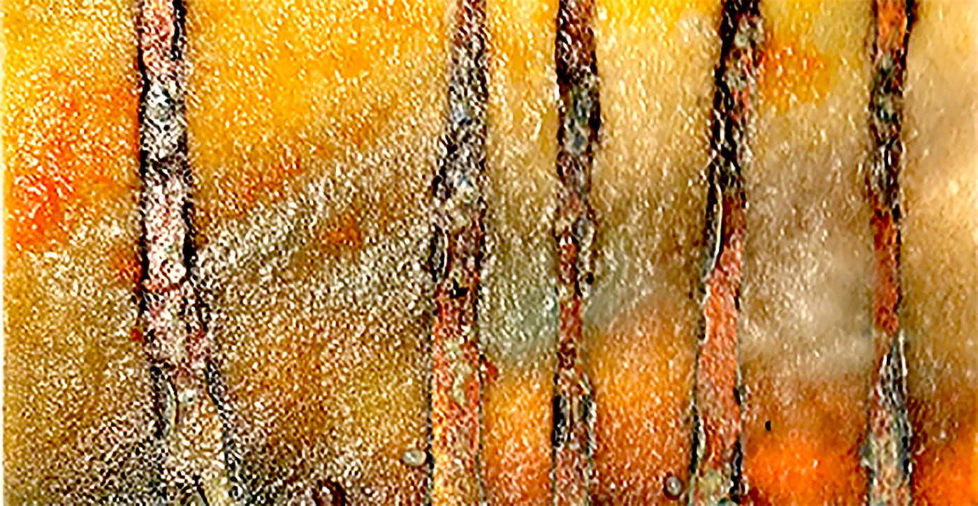 Winter Impressions