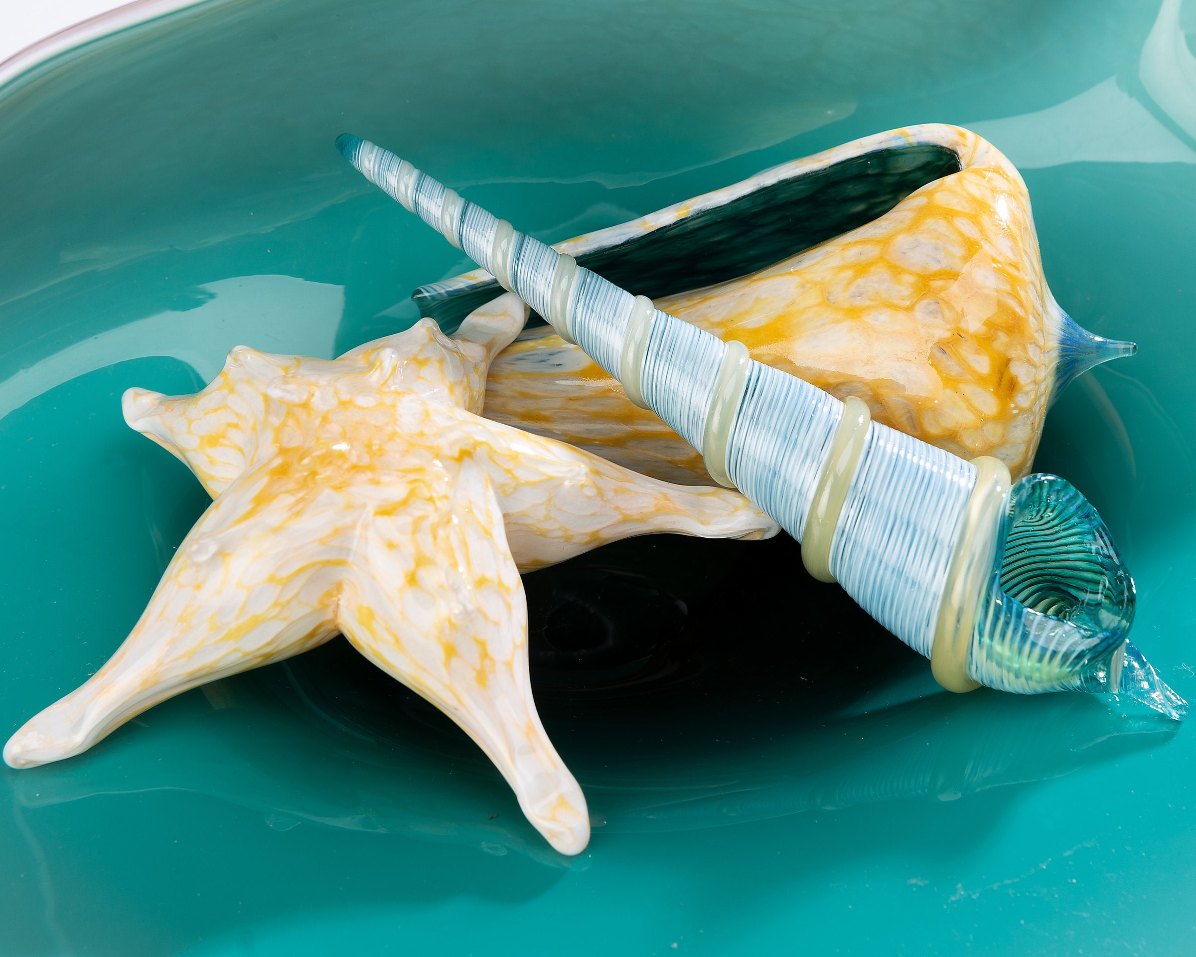 Shell Platter