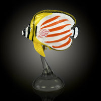 Ornate Butterflyfish