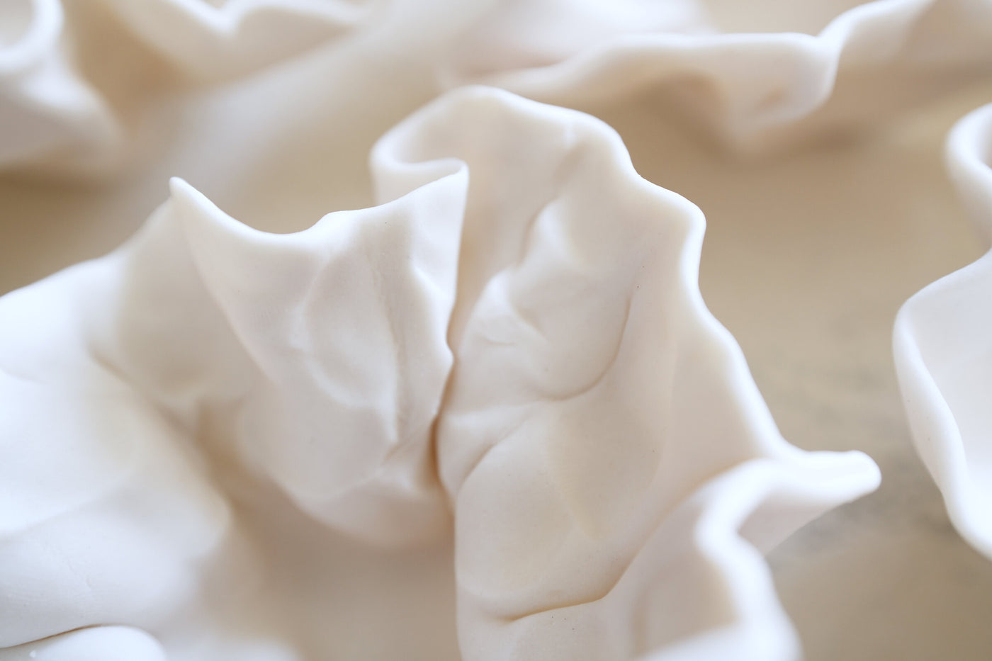 Matte Porcelain Wall Flower Set