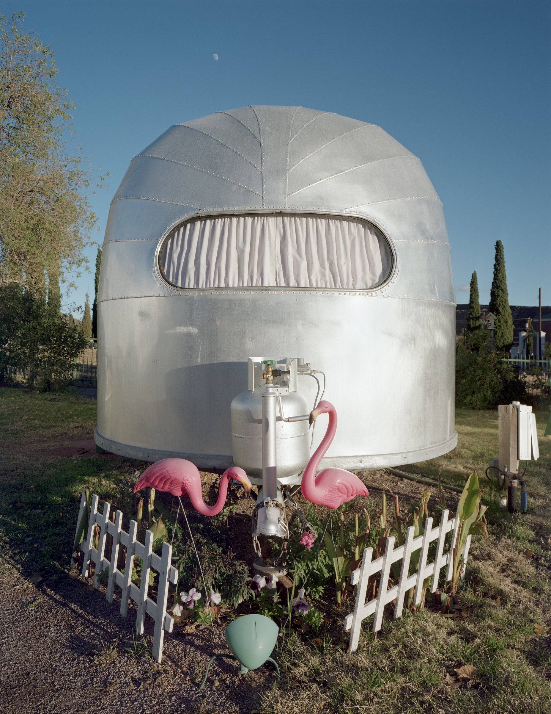 Airstream and Flamingos