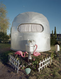 Airstream and Flamingos