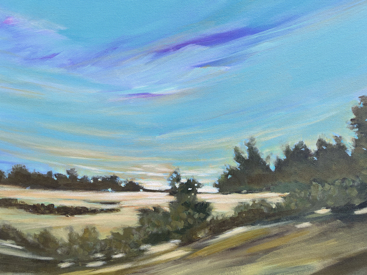 Endless Sky