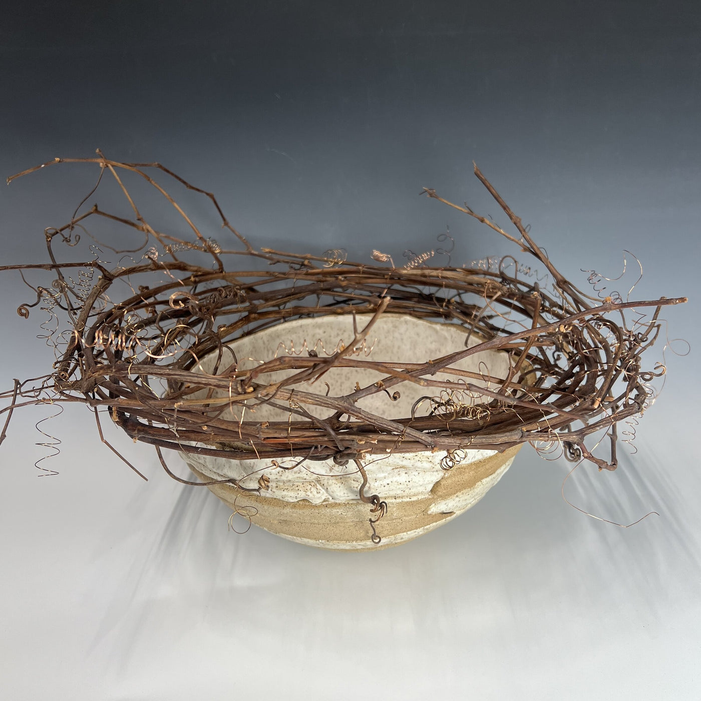 Tangled Nest