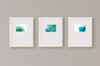 Color Study IV