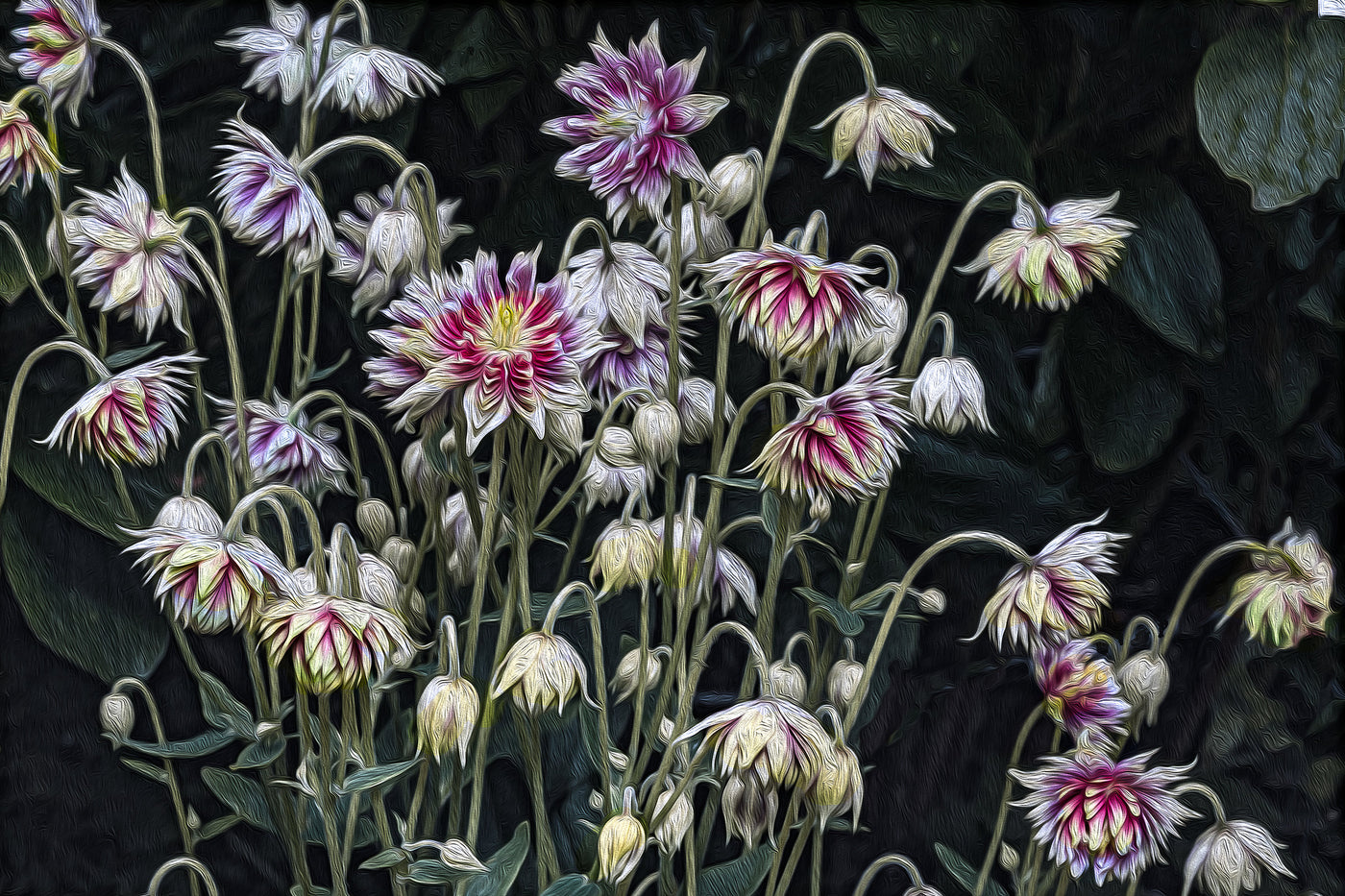 Cornwall Botanical