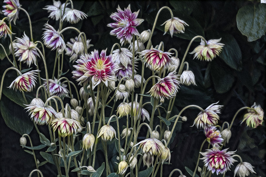 Cornwall Botanical