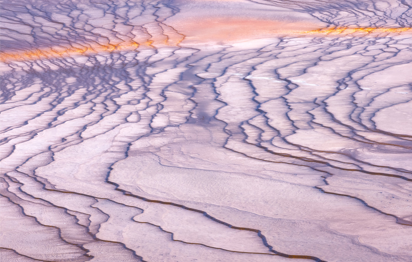Nature's Art