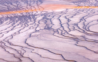 Nature's Art