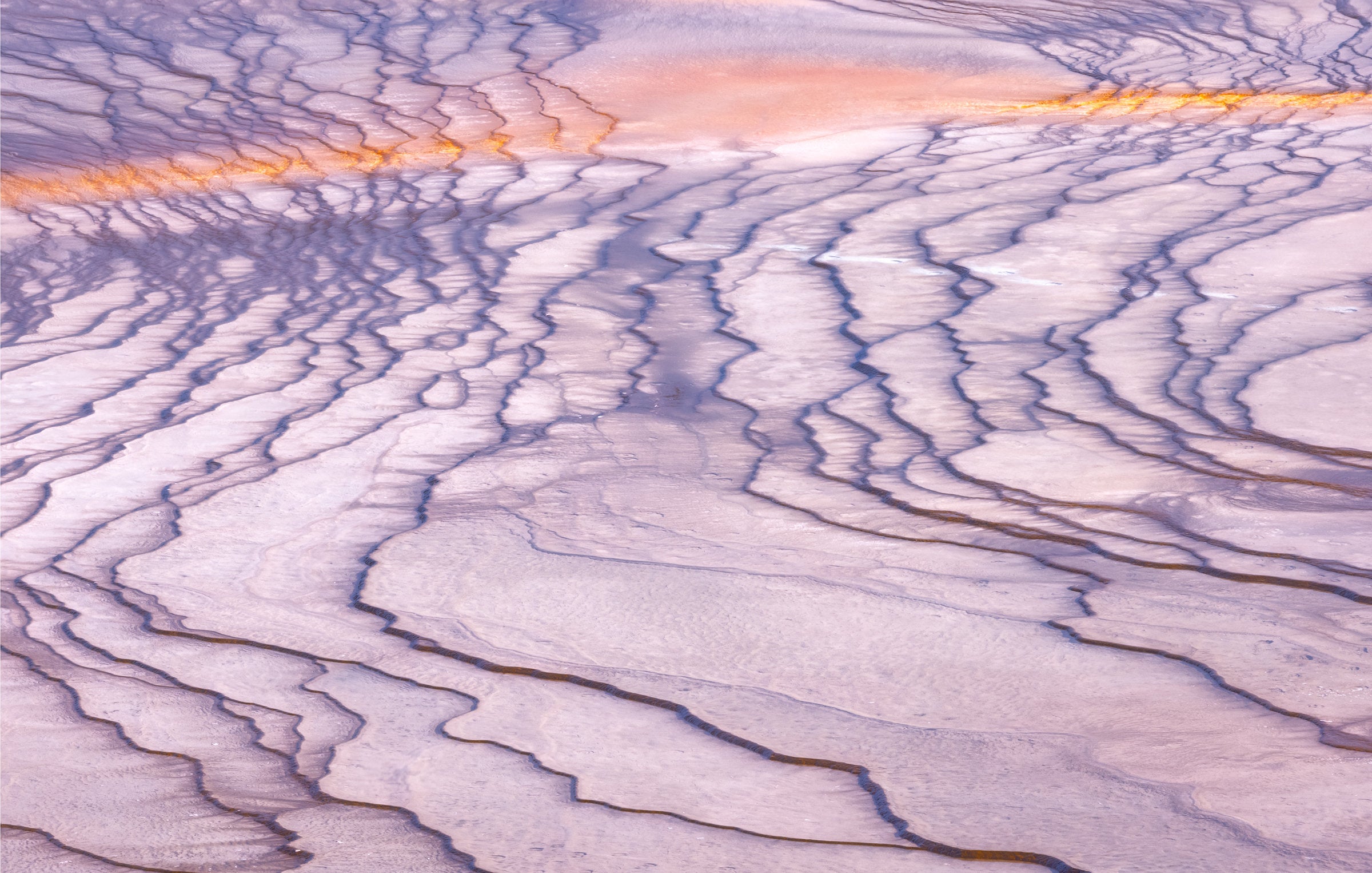 Nature's Art