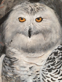 detail