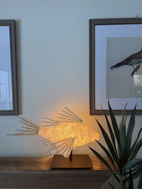 Apricot Koi Lamp
