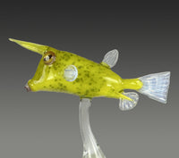 Longhorn Cowfish