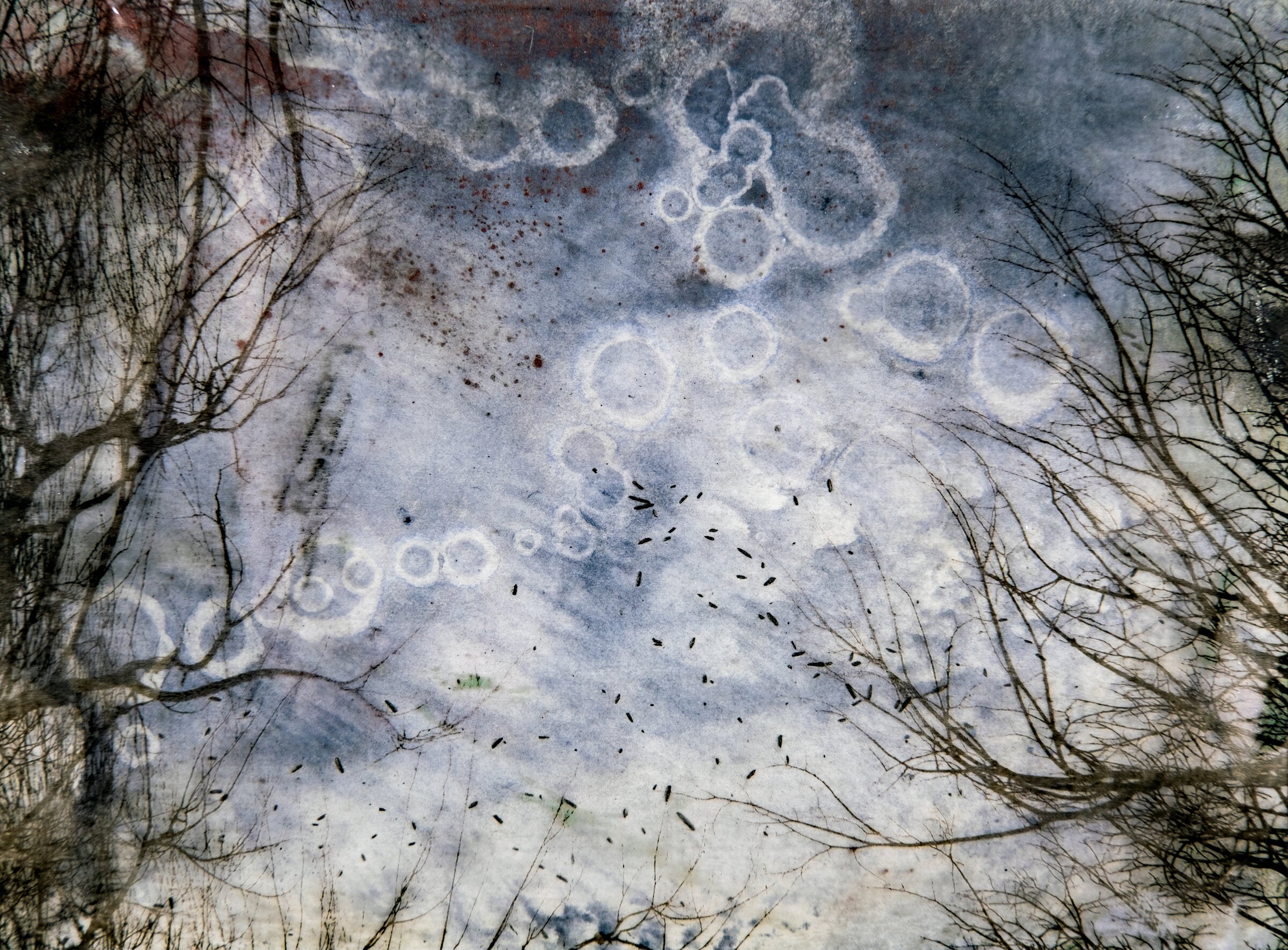 Winter Reverie