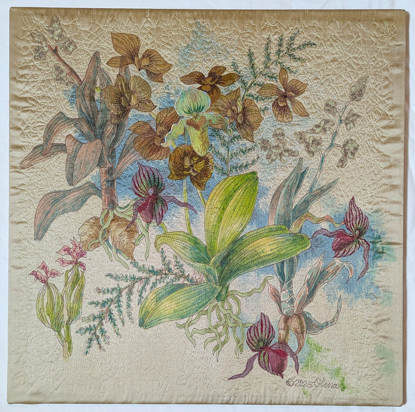 Orchids V
