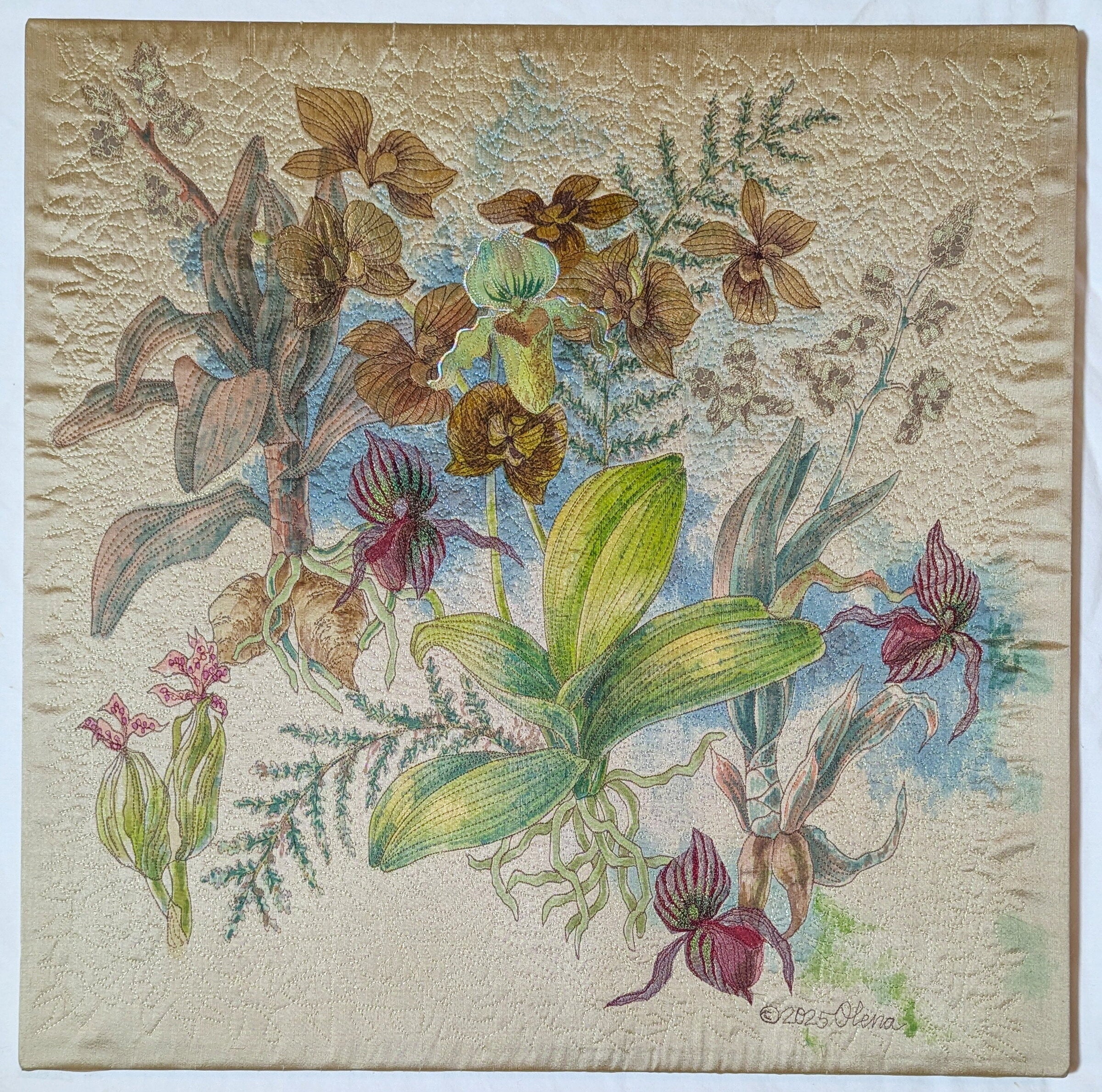 Orchids V