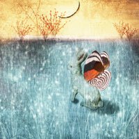 WinterSolstice