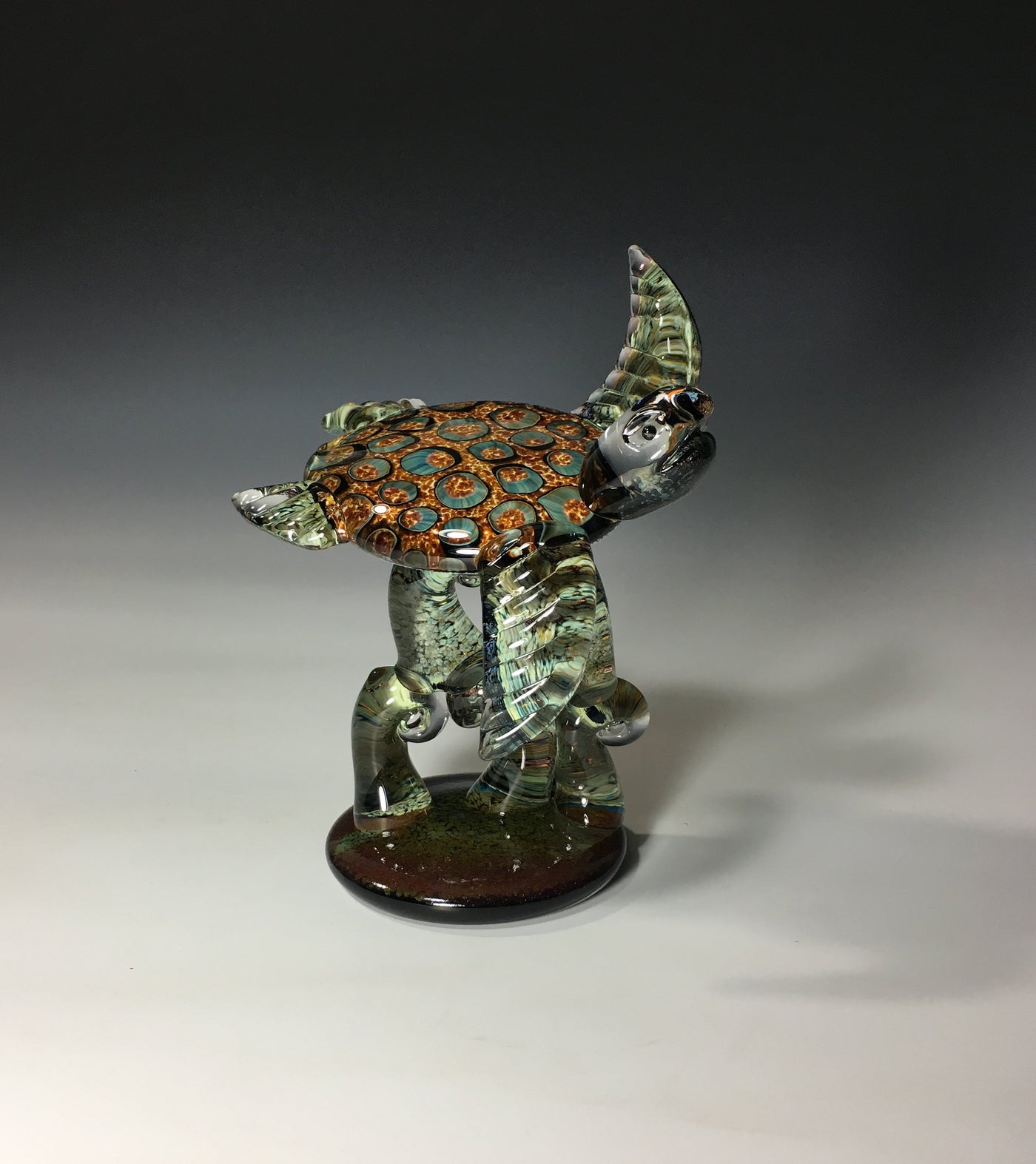 Amber Barnacle Turtle on Green Coral