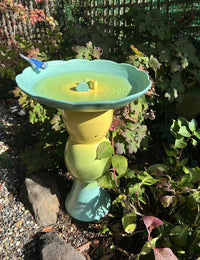 Avian Spa in Goldfinch